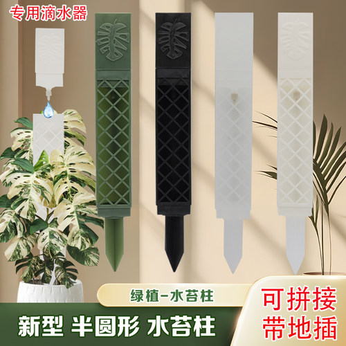 沃木达水苔柱+2026新款