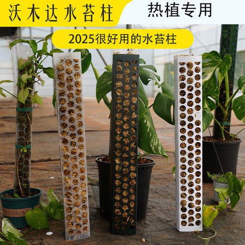 柱子哥水苔柱爬藤墙植物固定支架