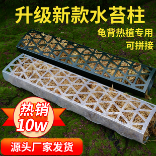 沃木达水苔柱龟背竹爬藤墙植物固定热植附生植物攀爬柱新型水台柱