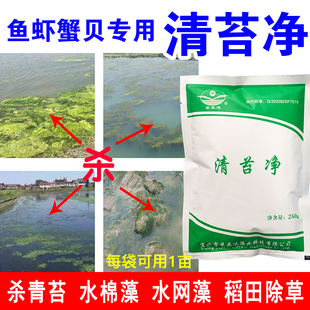 青苔清除剂除藻青苔净鱼虾蟹塘杂草泥皮青苔克星青苔速杀水产养殖