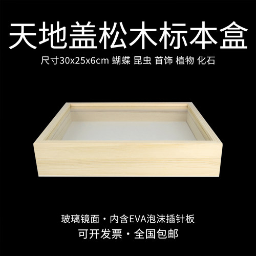 标本盒30x25x6cm松木标本盒