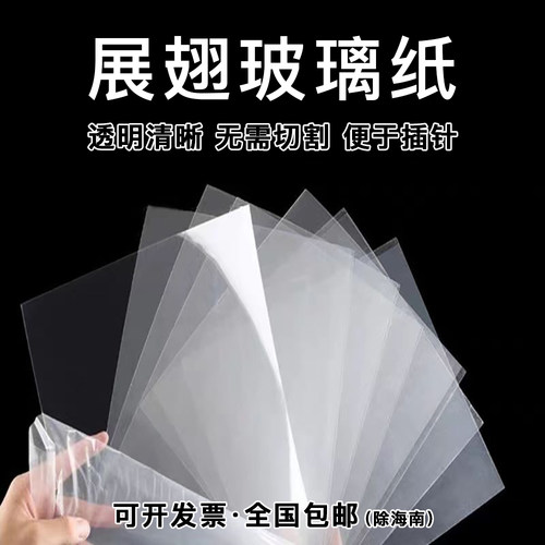 玻璃纸标本展翅材料高透便于插针