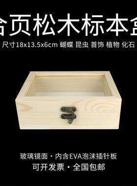 标本盒18x13.5x6cm含针板可挂墙
