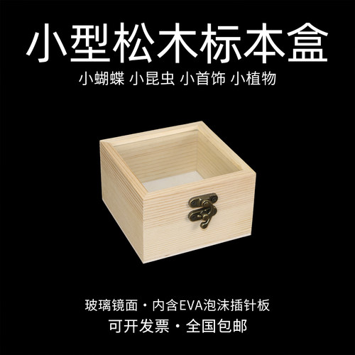 小型标本盒松木实木玻璃框小盒子