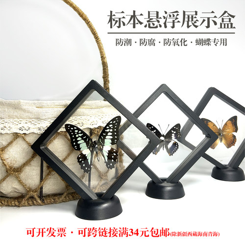 pet膜盒装裱工具标本好做摆件