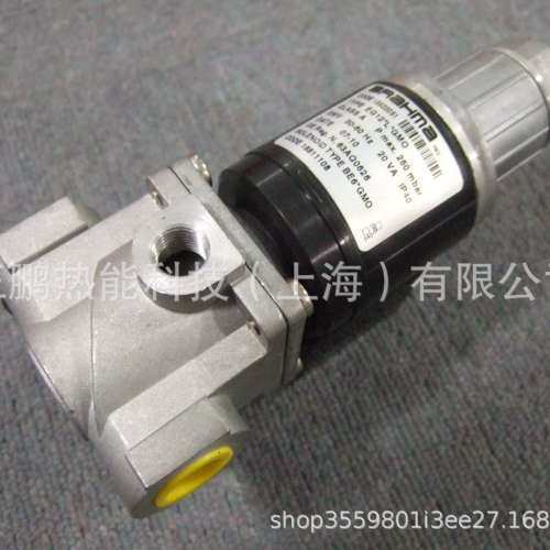 BRAMHA点火电磁阀EG25*S3*GMO电磁阀线圈现货特惠质保一年