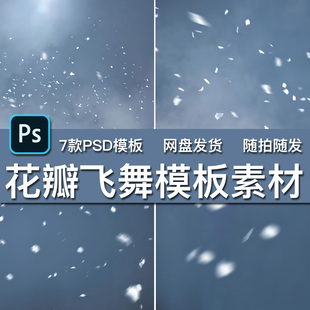 7款白色浪漫花瓣飘落洒落飞舞摄影楼写真婚纱照PSD模板背景素材