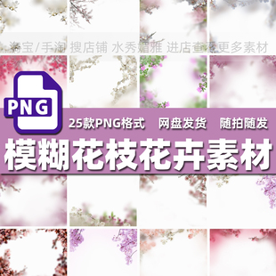 25款高清模糊花枝花卉摄影后期增效溶图前景叠加海报PNG免抠素材