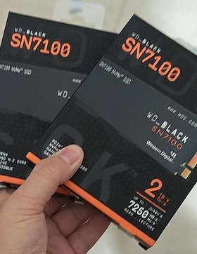 WD/西部数据 SSDSN7100 2280 固态硬盘2T  pm9cq bpvc10 bc711