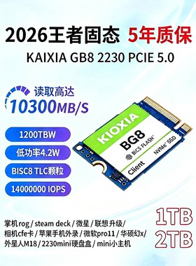 西数SN71002T2230固态华硕GX10