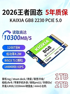 铠侠BG8 pcie5.0 2230固态硬盘2T sn7100 pro11固态 华硕gx10掌机