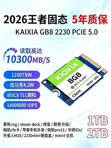 西数SN71002T2230固态华硕GX10