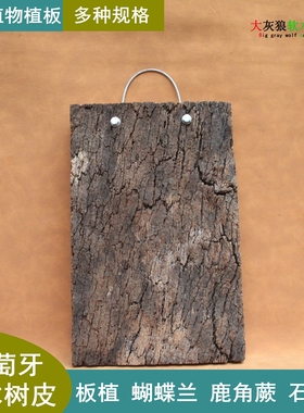葡萄牙软木树皮天然橡树皮空凤石斛 鹿角蕨板植洋兰软木阳台庭院