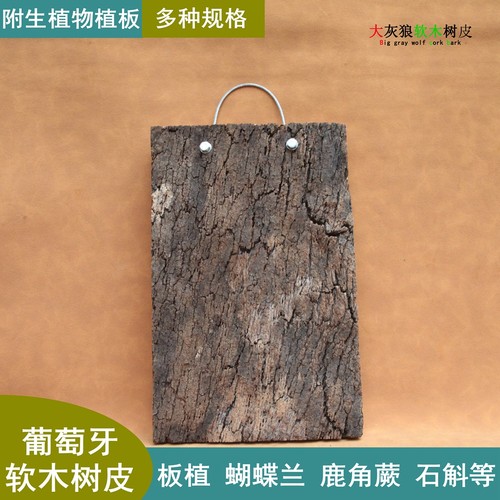 葡萄牙软木树皮鹿角蕨石斛植板