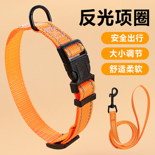 宠物狗狗脖圈牵引绳项圈反光