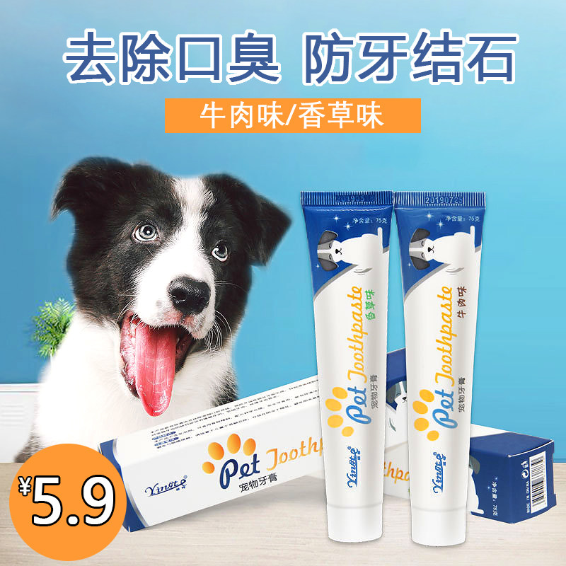 狗狗猫咪宠物牙刷牙膏套装可食用去牙结石泰迪牙膏洁牙工具小型犬