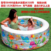 58480 пруд из золотой рыбы