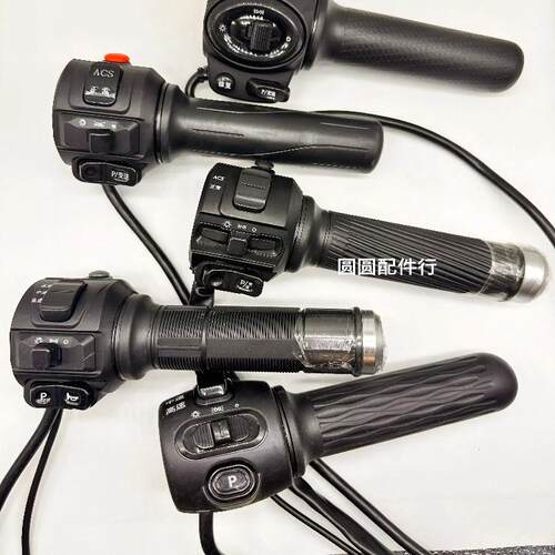 金太子派克牛系列带P连体电动车