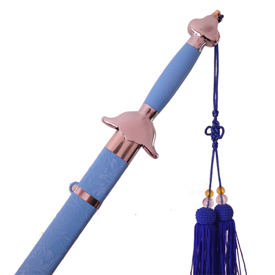 煌龙太极剑晨练太极武术