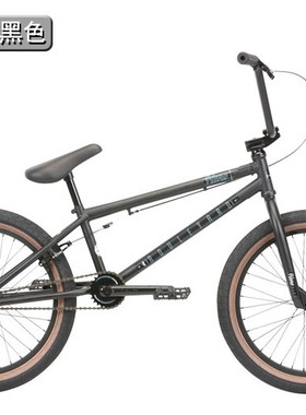 新款HARO哈洛BOULEVARD BMX小轮车哈洛20寸街式自由式平花自行车