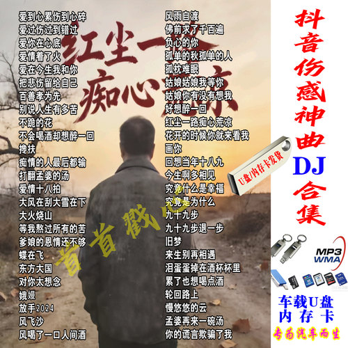 精选高品质车载DJ音乐催泪伤感爆火网络流行热歌抖音无损MP3百首