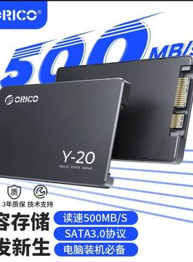 Orico/奥睿科 ORICO V500-512GB-BP/ 256G SEIWHALE512G