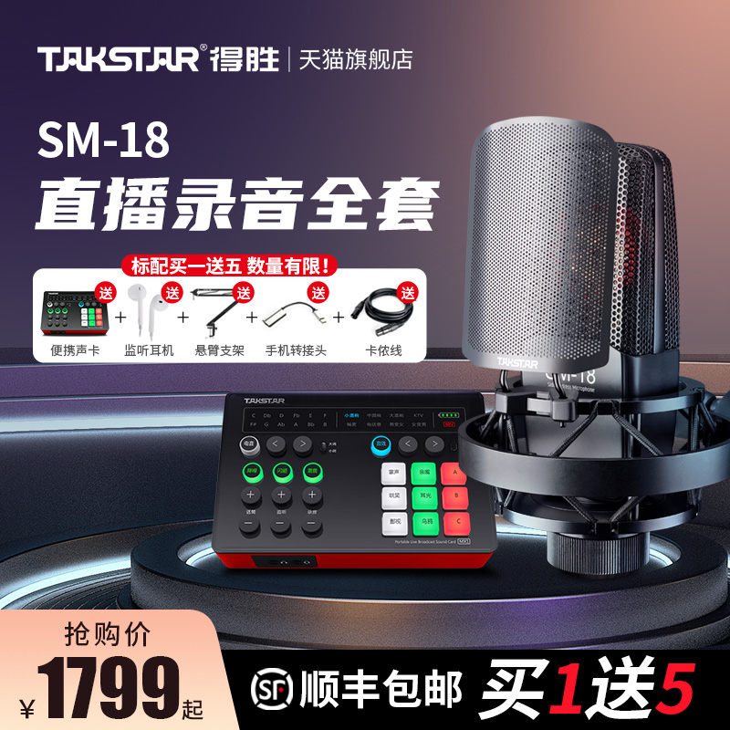 TAKSTAR 得胜 SM-18电容麦克风k歌喊麦直播设备专业录音话筒