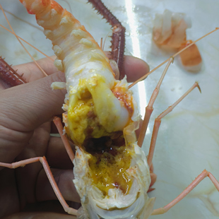 罗氏沼虾活冻罗氏虾速冻海鲜大头虾鲜虾金钱虾餐饮食材商用