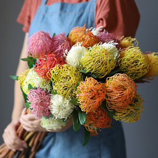 INS风高品帝王花风轮花客厅卧室餐桌茶几花束绢花手感花艺饰品