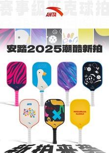 安踏匹克球拍套装磨砂高端专业入门拍新手入门专业匹克球拍套装