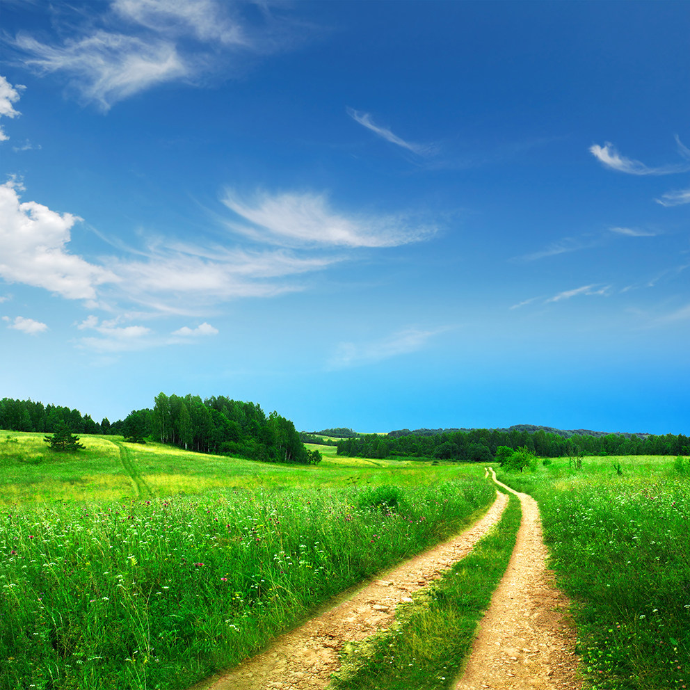 fj0166绿水青山蓝天白云草地高清晰空间路延伸电视墙沙发墙卧室墙