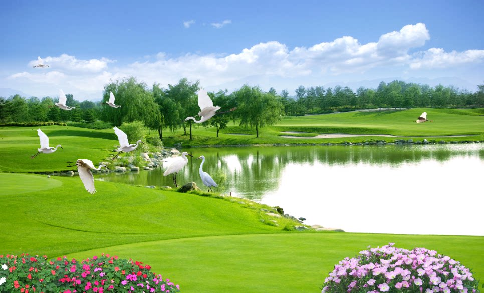 fj0610流水生财聚宝盆3d立体壁画窗外绿色风景树森林美景背景墙