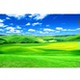 尺寸是定制蓝天白云草地简约电视背景墙18D树林风景画壁画FJ6988