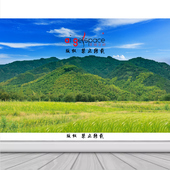 青山大山风景笔架山青龙山山靠山有山无水办公室客厅背景画FJ2588