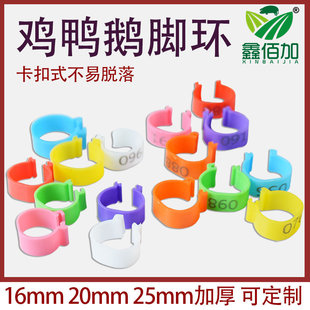 塑料标签鸡用脚环足圈识别环 鸡脚环记号环鸭鹅 家禽脚环 卡扣式