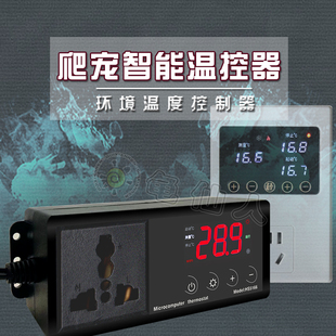 智能数显自动爬虫电子温控器陆龟蜥蜴可调温控仪宠物加热灯恒温器