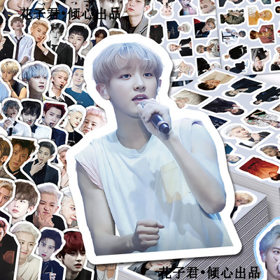206张朴灿烈贴纸exo成员高颜值帅气单人高清周边贴画diy手账背卡