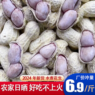 【2025年新货】龙岩水煮日晒花生龙岩花生原味花生生花生米零食