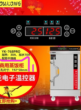 新消毒柜温控器电子数显温度控制器全自动智能开关可调YK765包邮