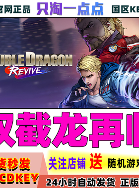 Steam正版游戏 双截龙再临 Double Dragon Revive 国区激活码秒发