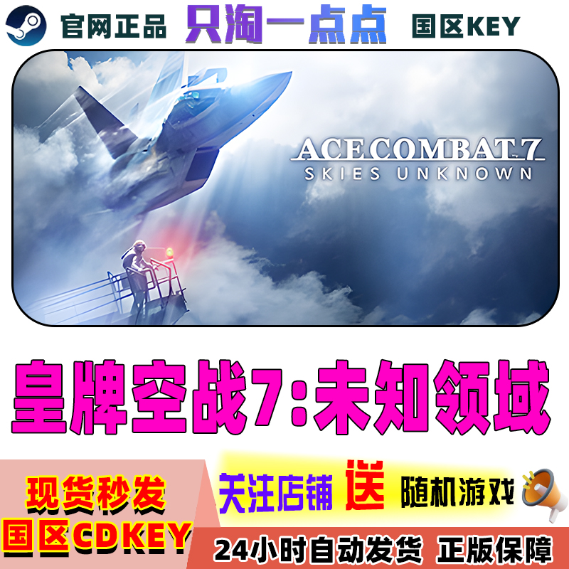steam正版国区皇牌空战未知领域