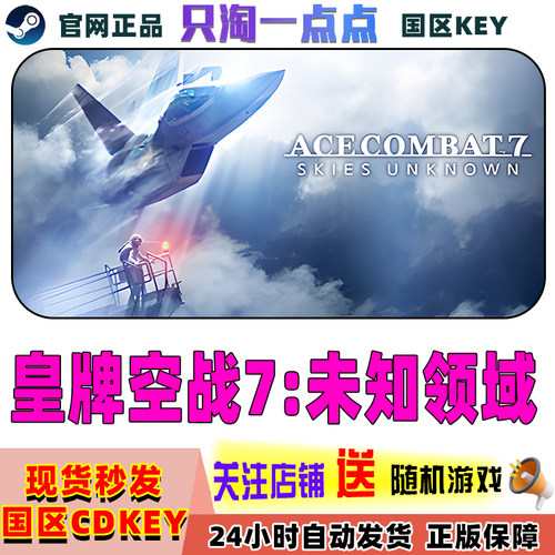 steam正版国区皇牌空战未知领域