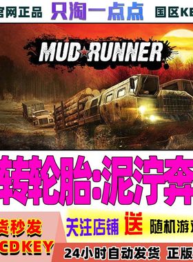 steam正版国区旋转轮胎泥泞奔驰
