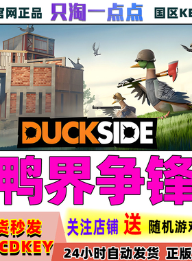 Steam正版游戏 鸭界争锋 DUCKSIDE 国区激活码现货秒发
