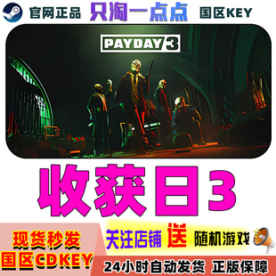 Steam正版游戏 收获日3 PAYDAY 3  多人射击    国区激活码