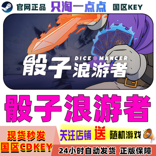 PC中文正版 Steam正版 骰子浪游者 国区激活码 CDKEY