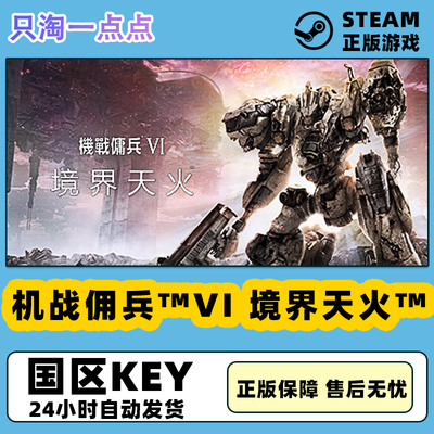 steam游戏机战佣兵6激活码现货