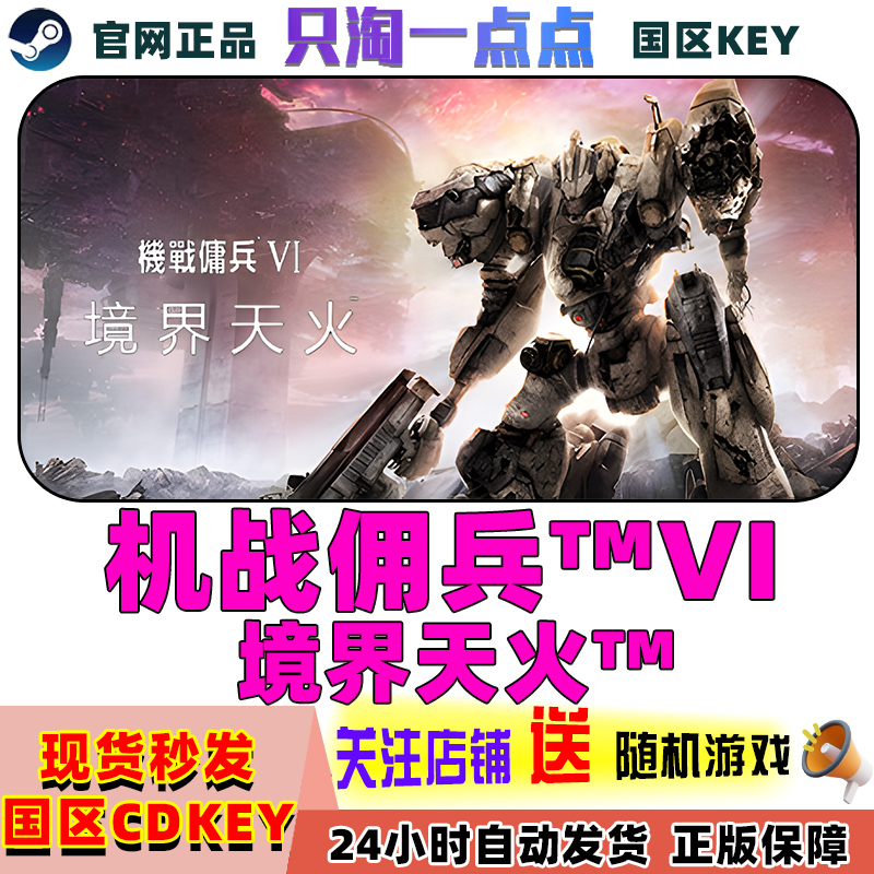 steam游戏机战佣兵6激活码现货