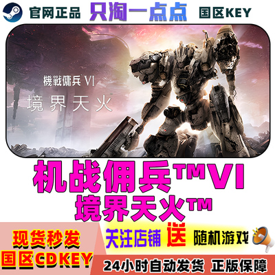 steam游戏机战佣兵6激活码现货