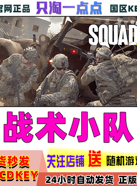 Steam正版游戏 战术小队  Squad  多人竞技 国区激活码